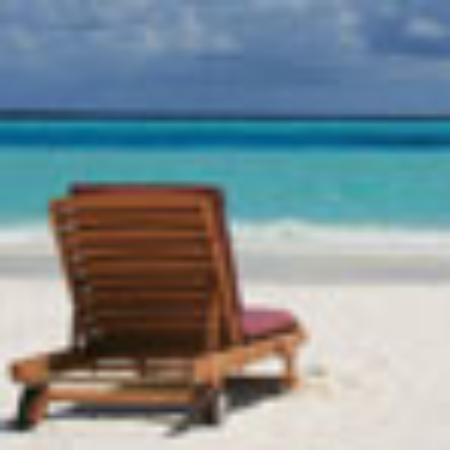 Taqueria El Mezquite