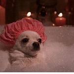 Truth Italian Cuisine