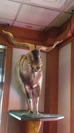 Billy Goat Tavern