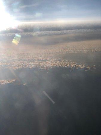 Cooper's Hawk Winery & Restaurant - Esquire Chicago