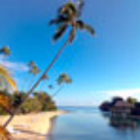 Sher-A-Punjab Indian Restaurant