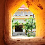 Butterfly Sushi On Chicago