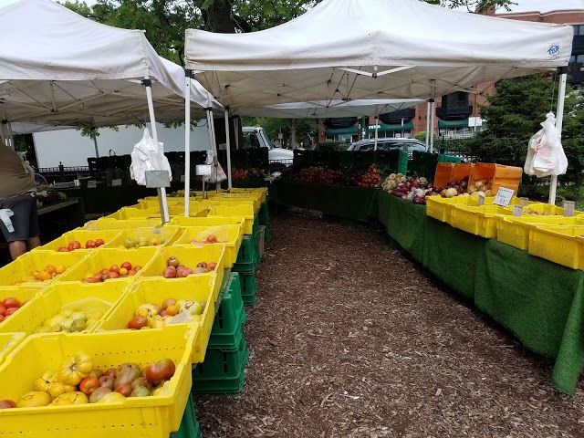 Wicker Park Farmers Market