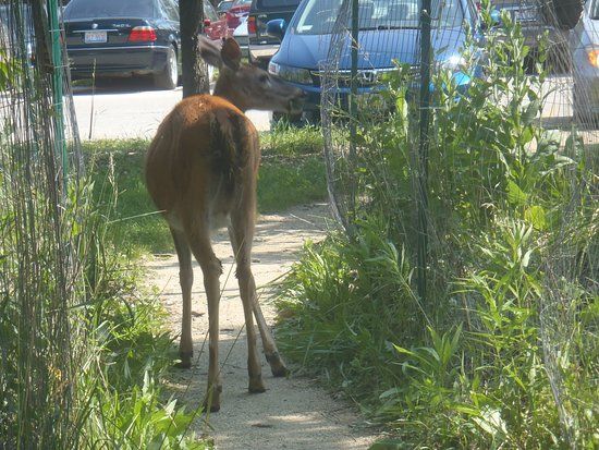 North Park Village Nature Center