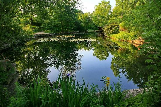 Alfred Caldwell Lily Pool